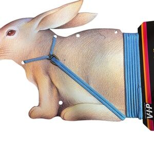 Rabbit Sm Animal Nylon Lead W/ Harness 3/24"X6 feet Japanese Made Washable Blue